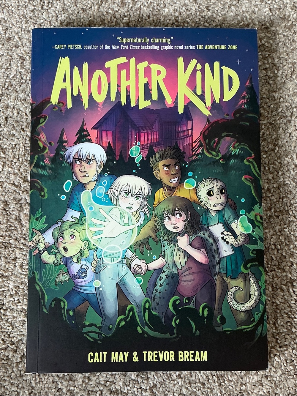 Another Kind Graphic Novel